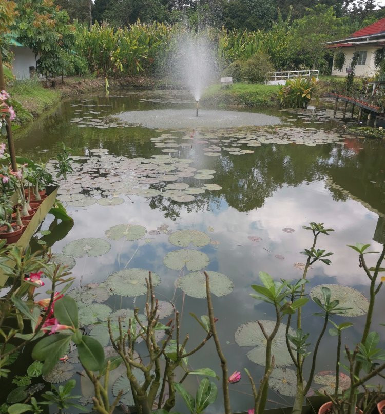 World Of Phalanopsis-Hulu Yam Lama必去景点