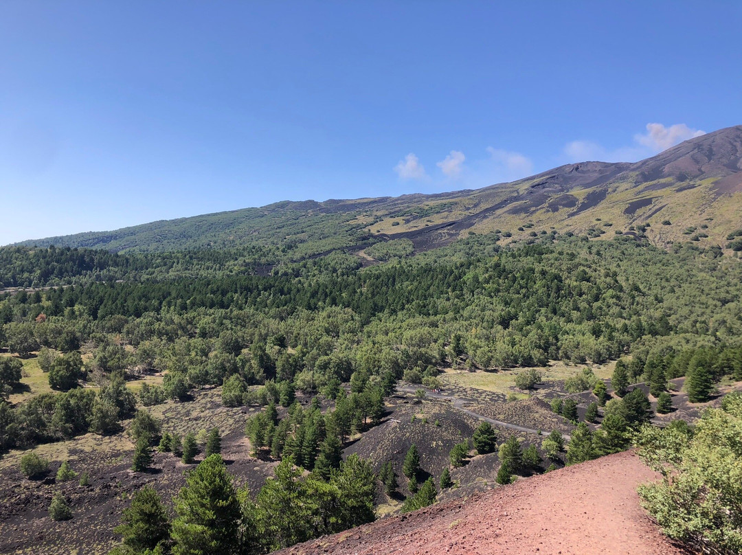 Etna Trip景点图片