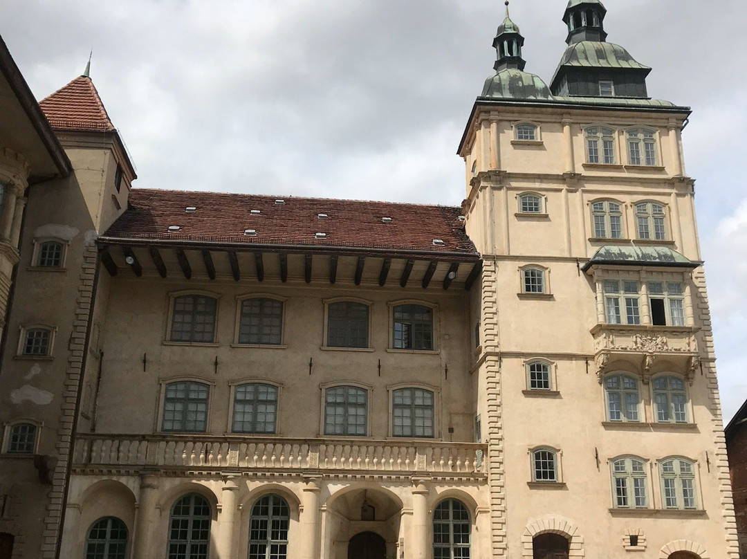 Schloss Gustrow景点图片