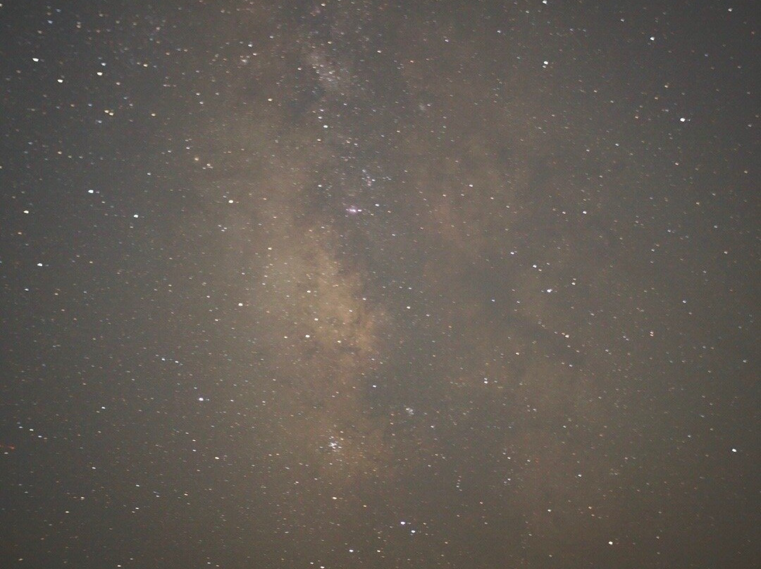 Jogashimatodai Park-三浦市必去景点