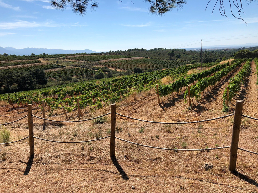 La Botiga del Celler-Peralada必去景点