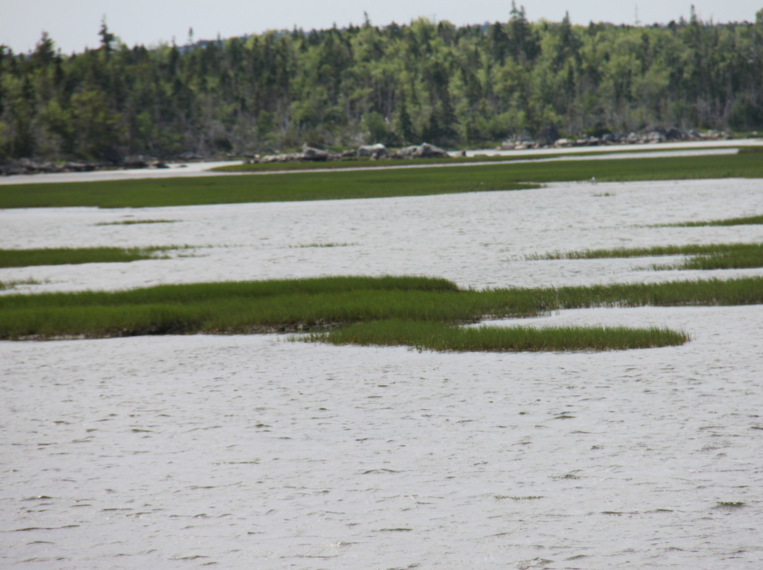Salt Marsh Trail-Cole Harbour必去景点
