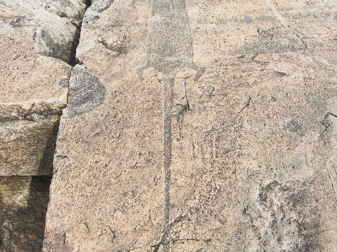 Onega petroglyphs景点图片