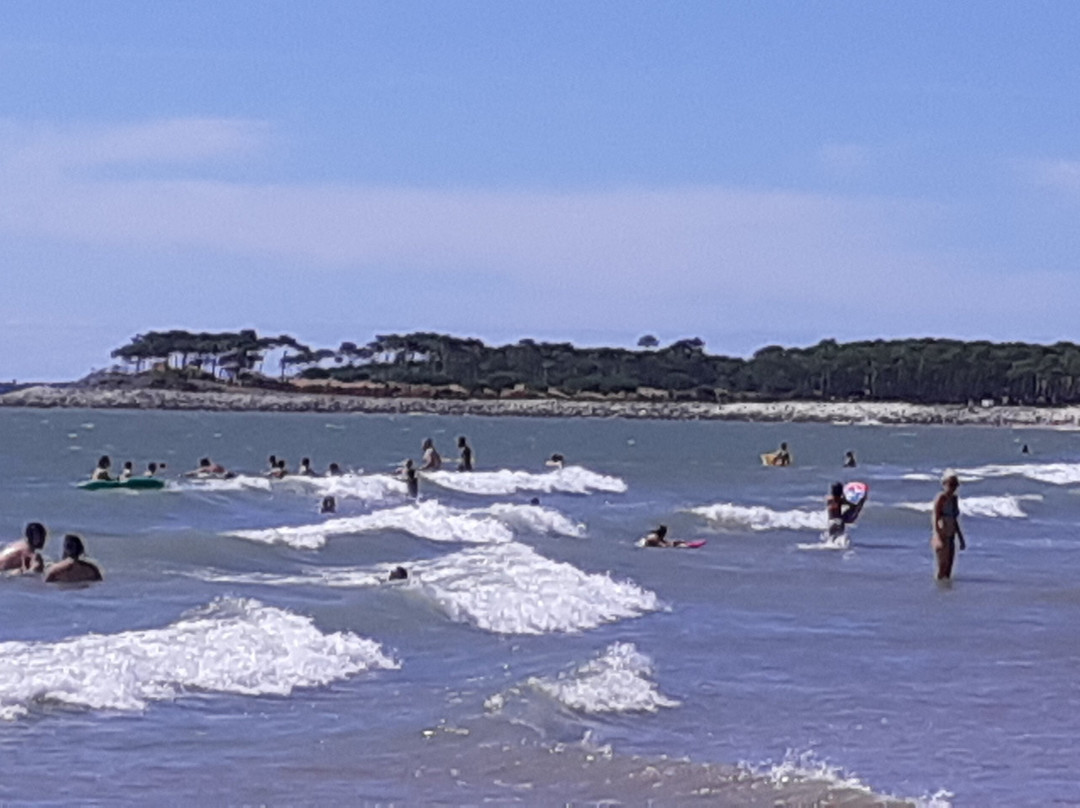 Plage de la Lede景点图片