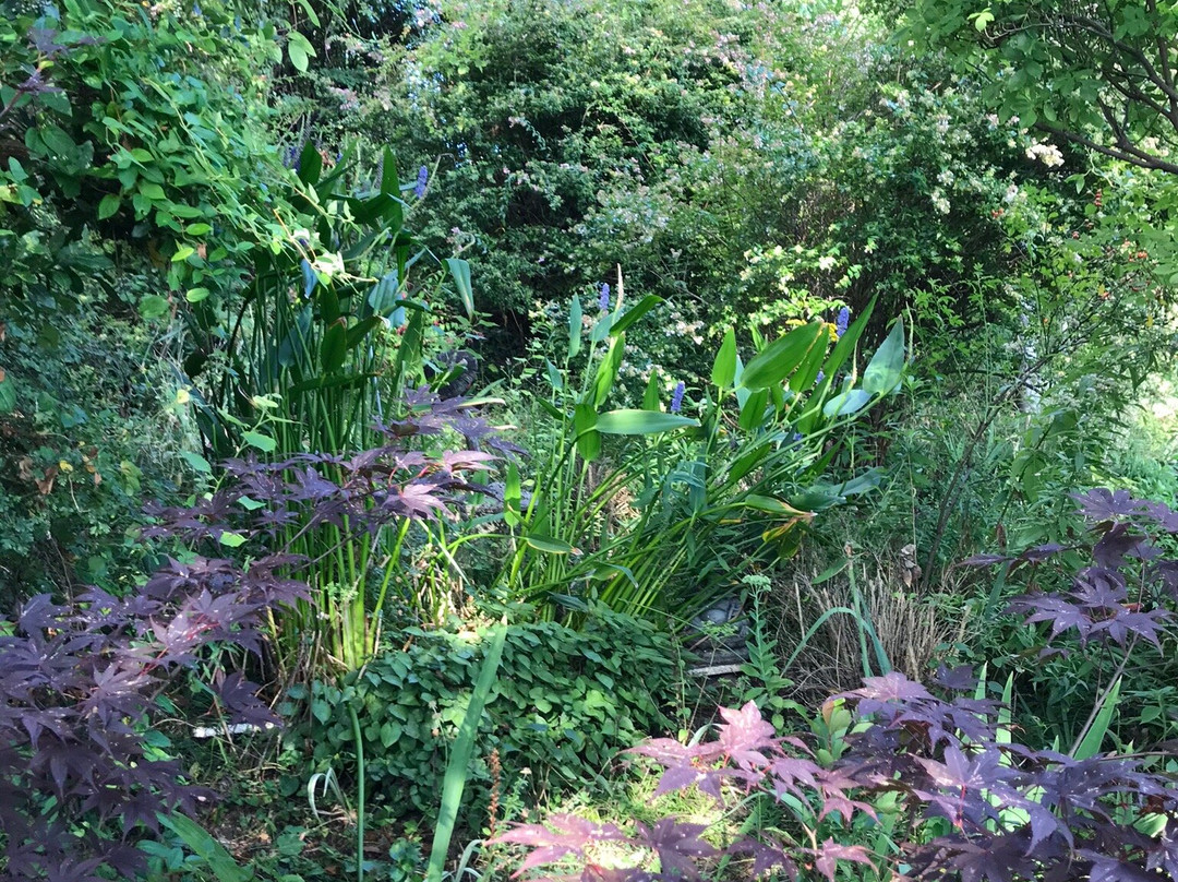 Le Jardin de Nelly景点图片