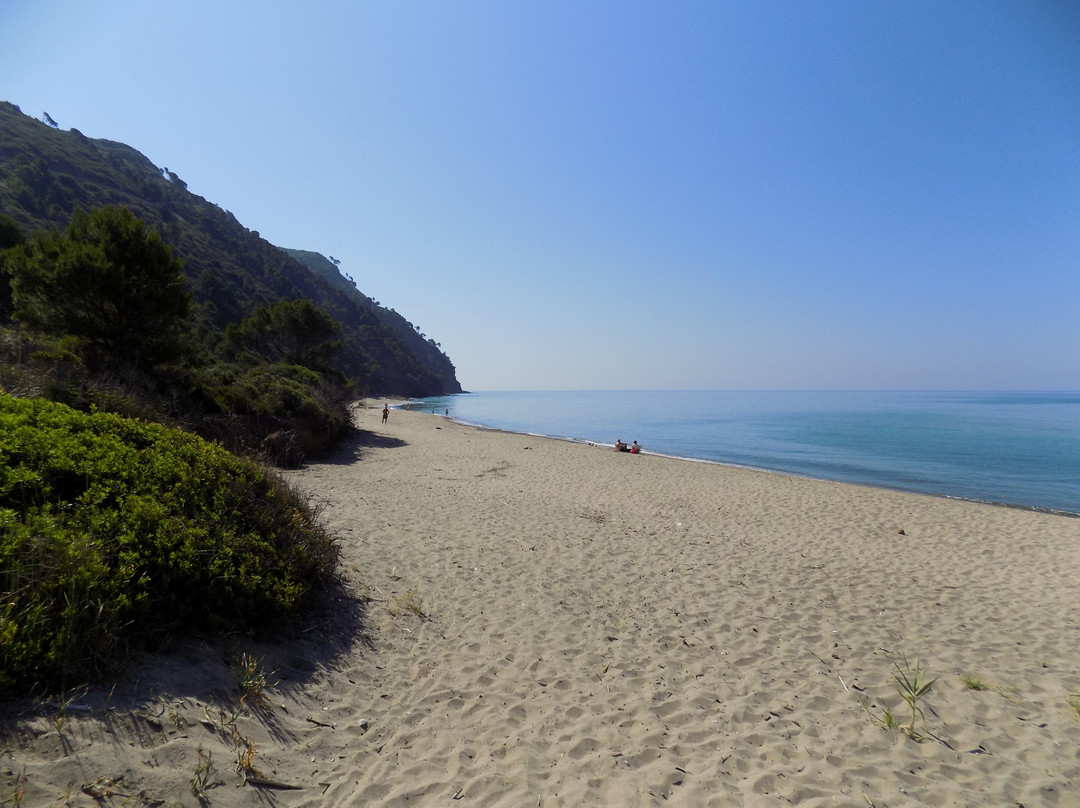 Spiaggia di Ogliastro Marina景点图片