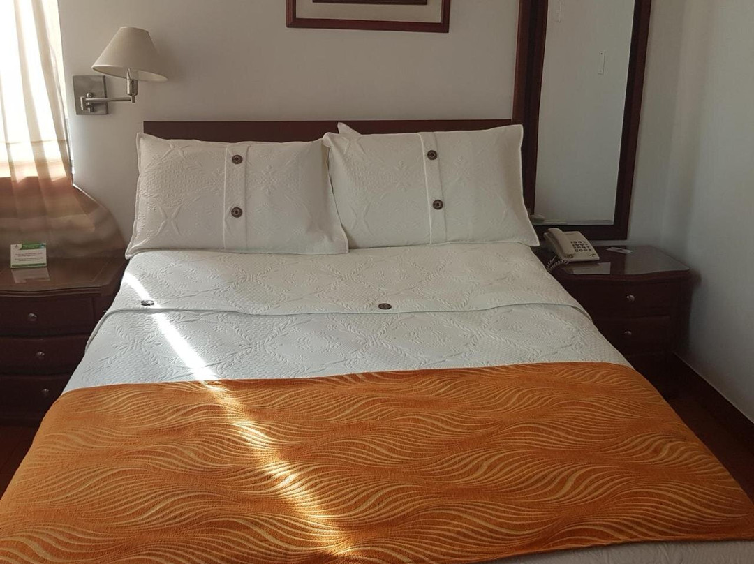 Hotel Emperador主图