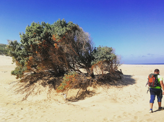 NADIR SARDINIA Tour & Adventure-卡利亚里省必去景点