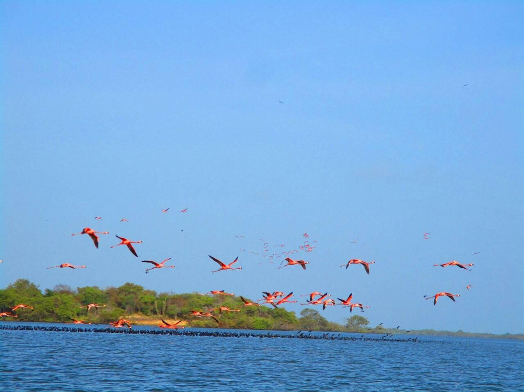 Grupo de Intérpretes Ambientales Wayuu Apushi Ipuana-Camarones必去景点