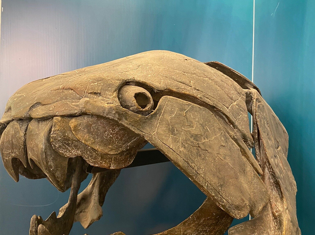 Museo Civico di Storia Naturale景点图片
