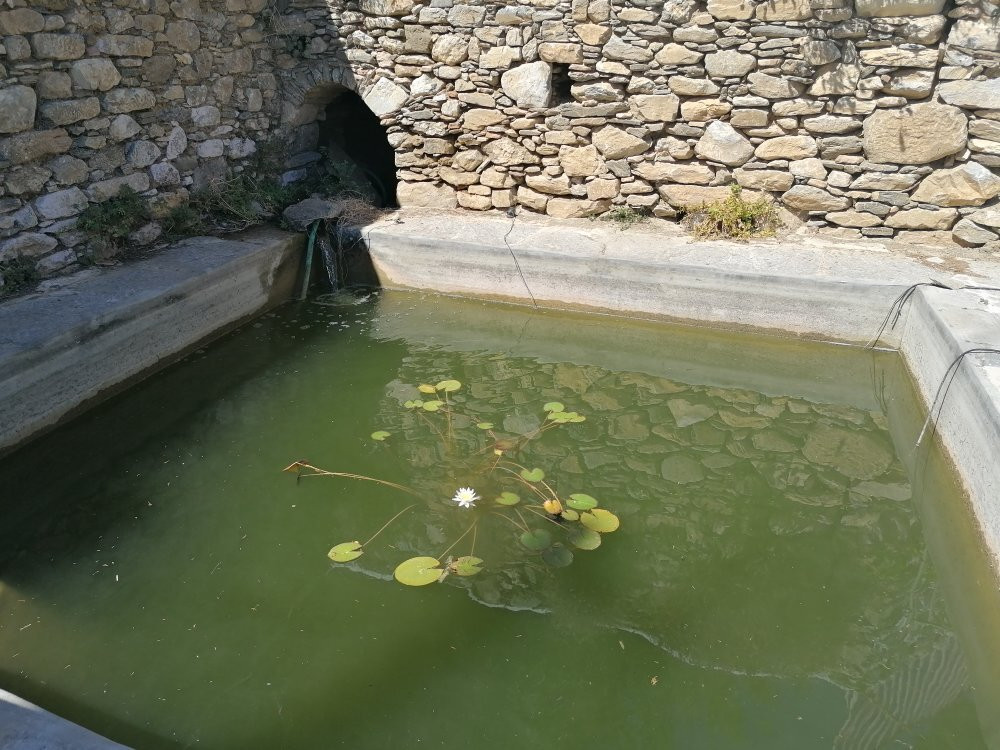 Amorgos Botanical Park景点图片