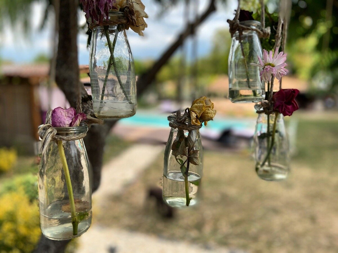 La Demeure des Alpilles主图