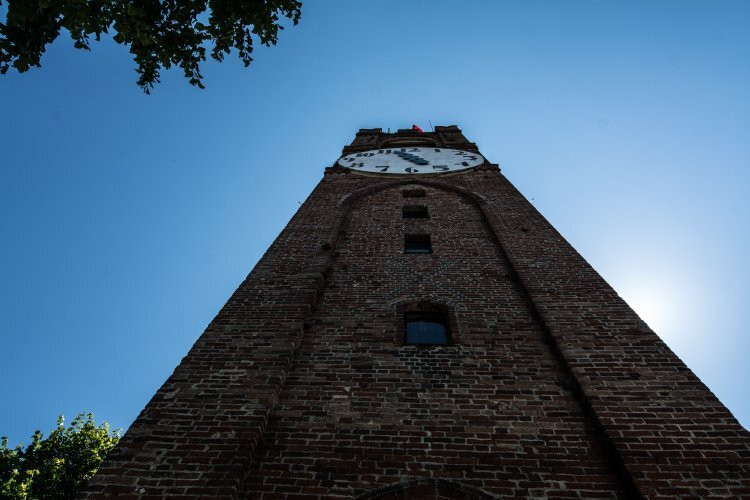 Torre del Belvedere景点图片