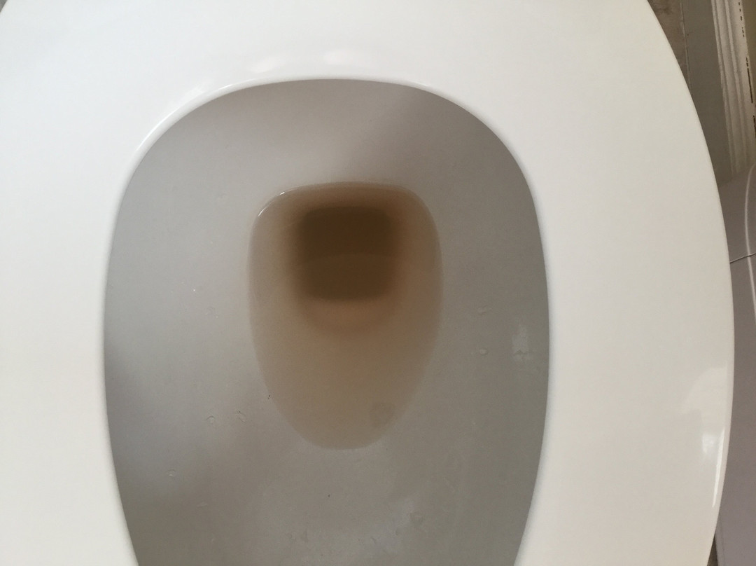 Pilot Whale Chalets主图