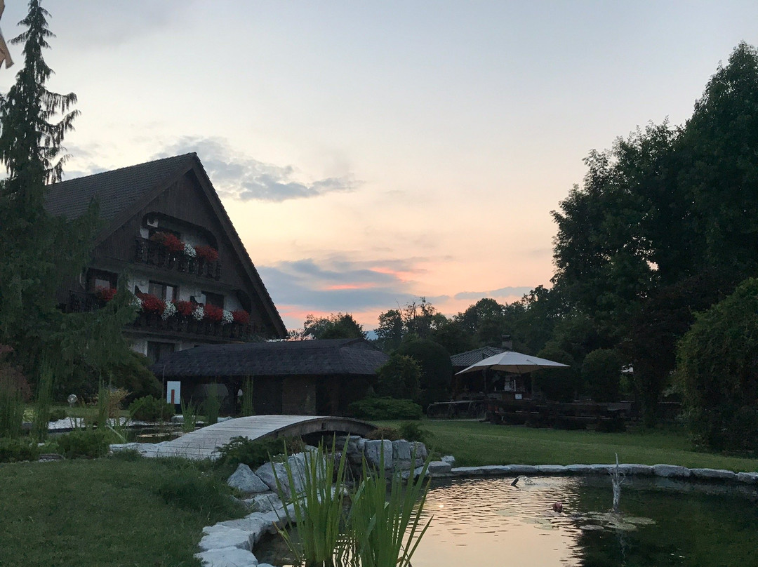 阿尔卑旅馆主图