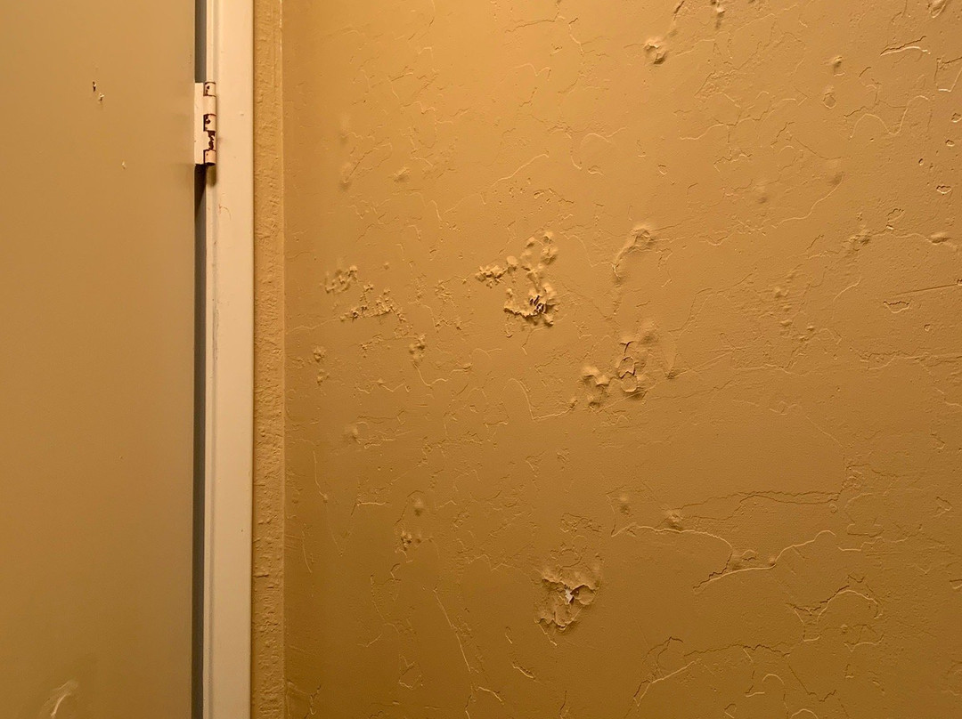 Super 8 by Wyndham Payson主图