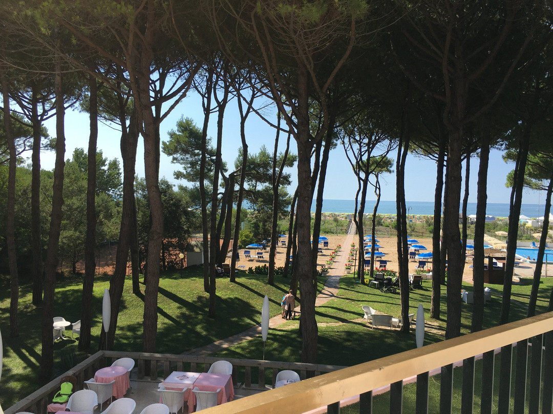 Hotel Beau Rivage Pineta主图