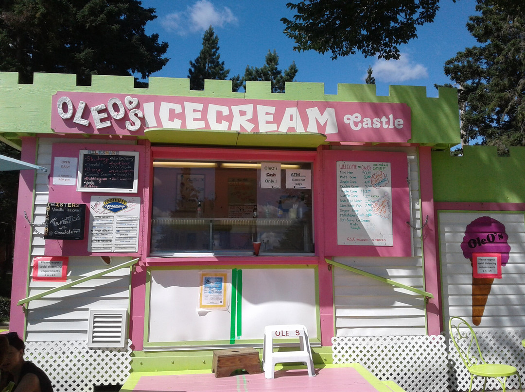 OleO's Ice Cream Castle