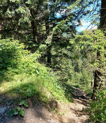 Hotel Marea Neagra主图