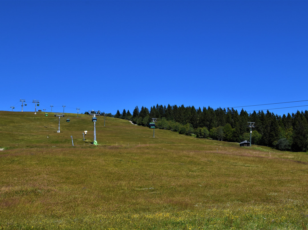 Feldbergbahn-菲尔德山必去景点