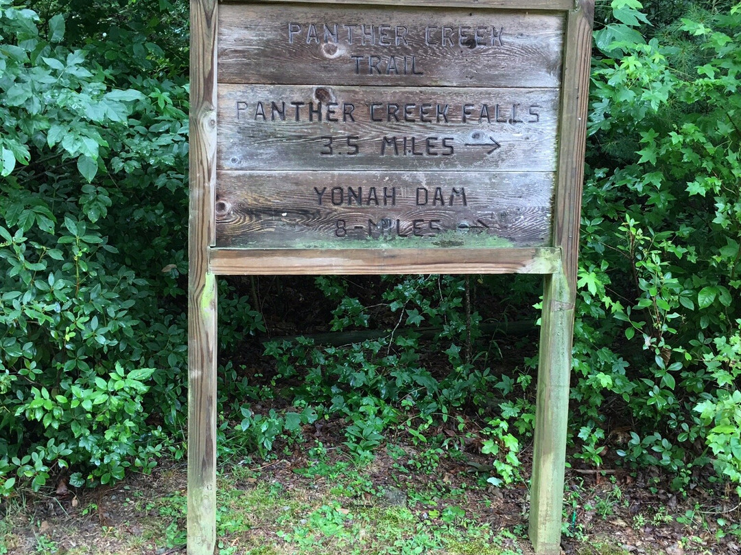 Panther Creek Recreation Area景点图片