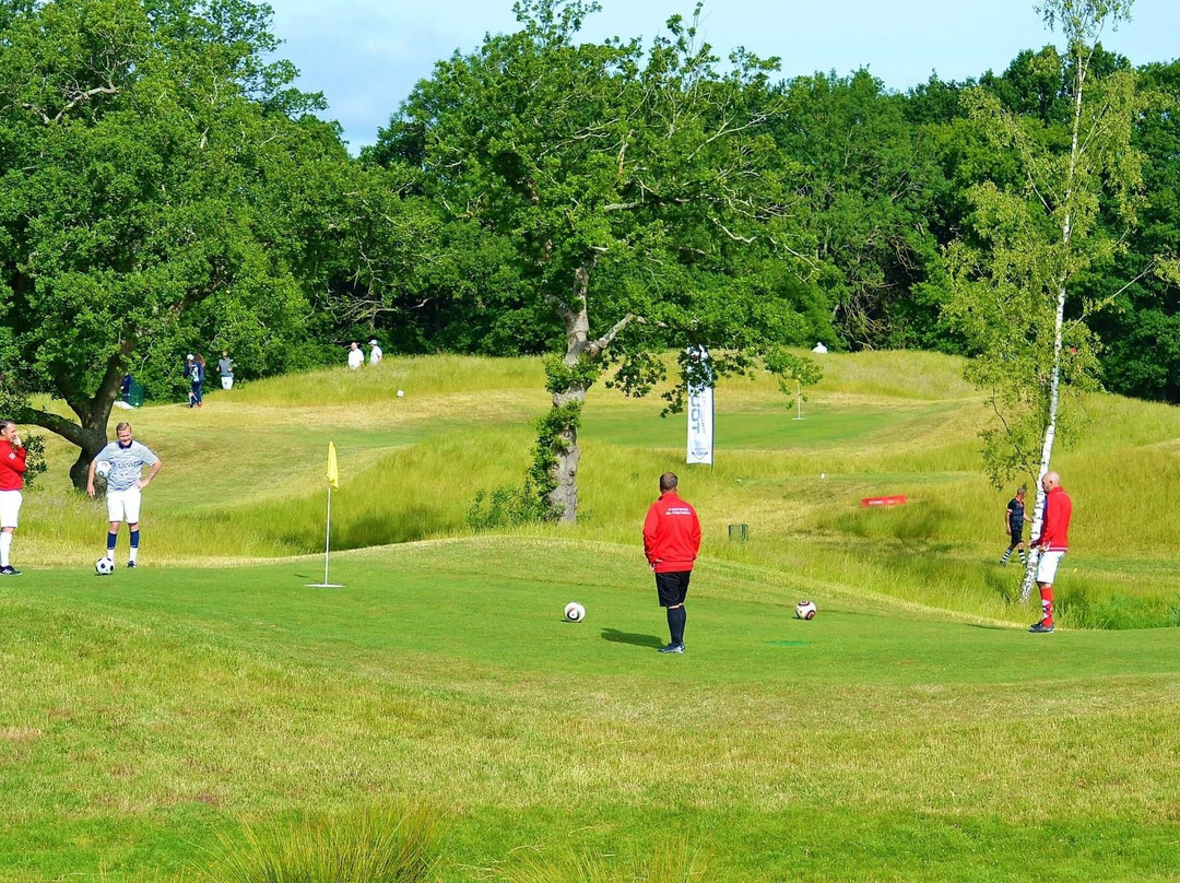 Gatwick Footgolf Centre Ltd.景点图片