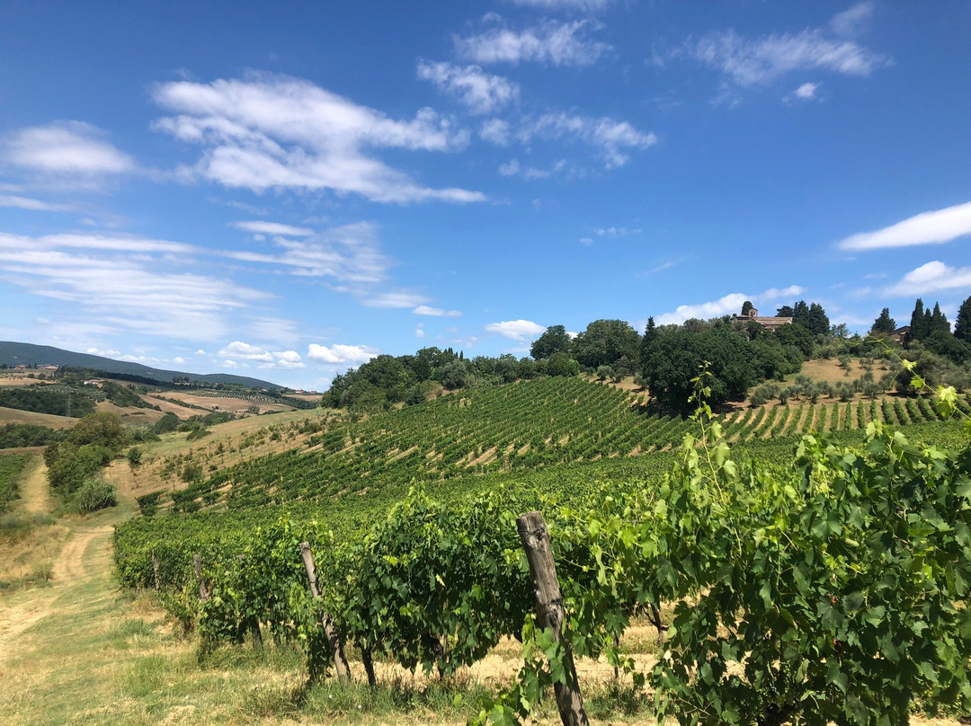Azienda Agricola La Lastra-锡耶纳必去景点