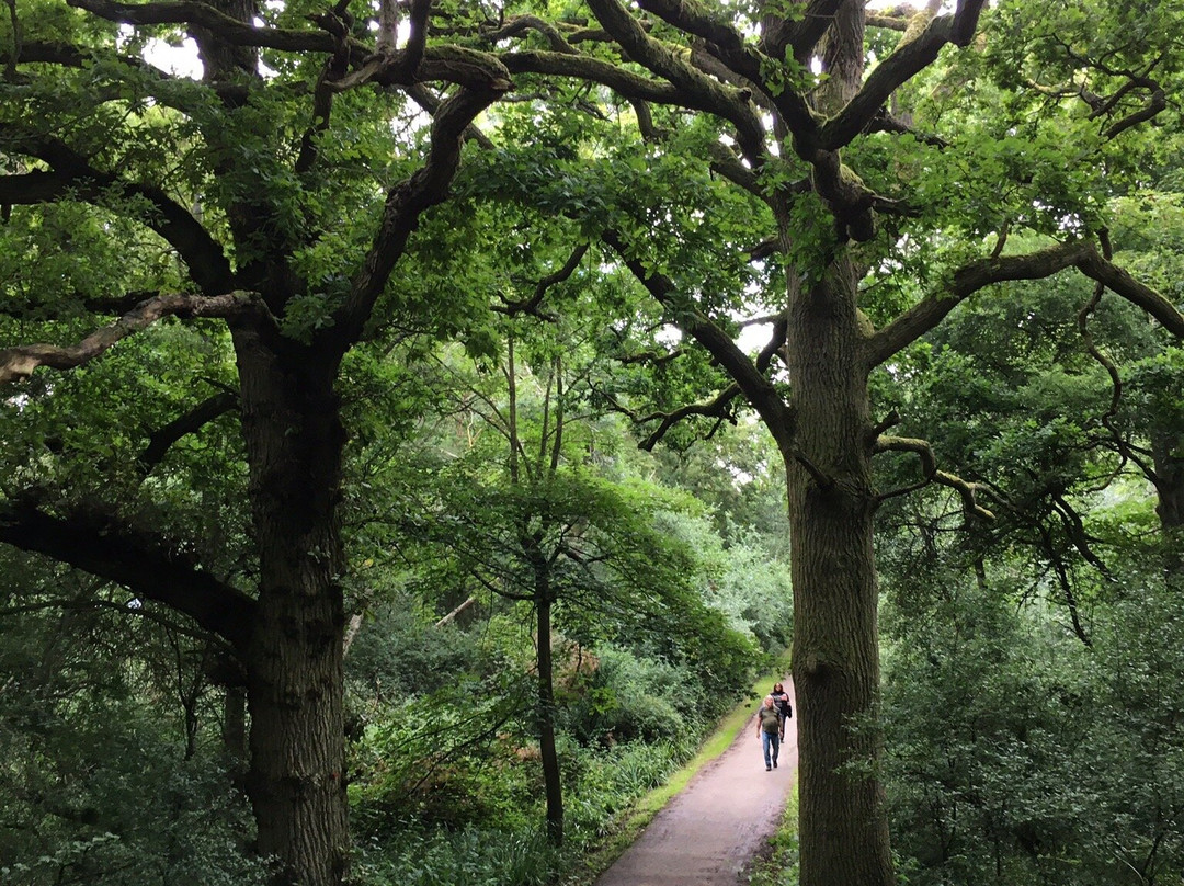 Grafham Water Centre景点图片