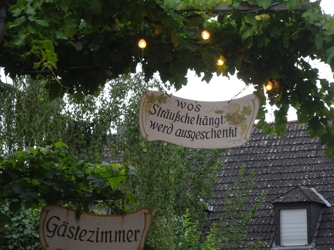 Weingut Lill-吕德斯海姆必去景点