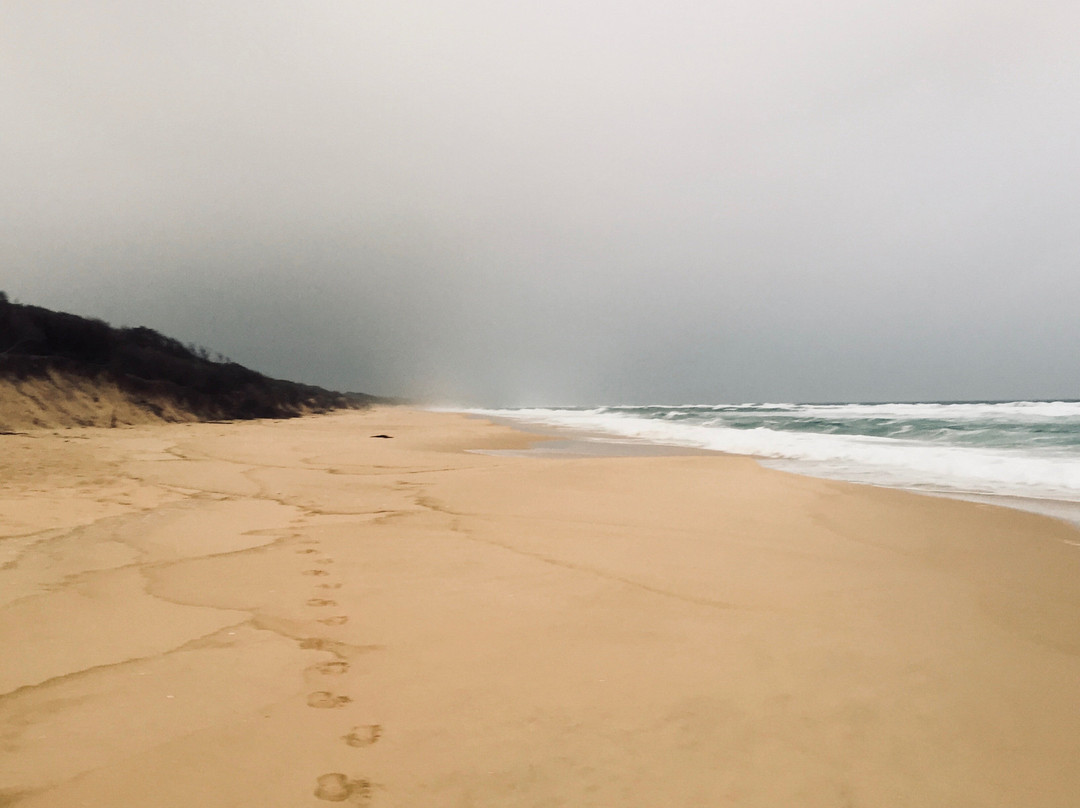 Point Ricardo Beach景点图片