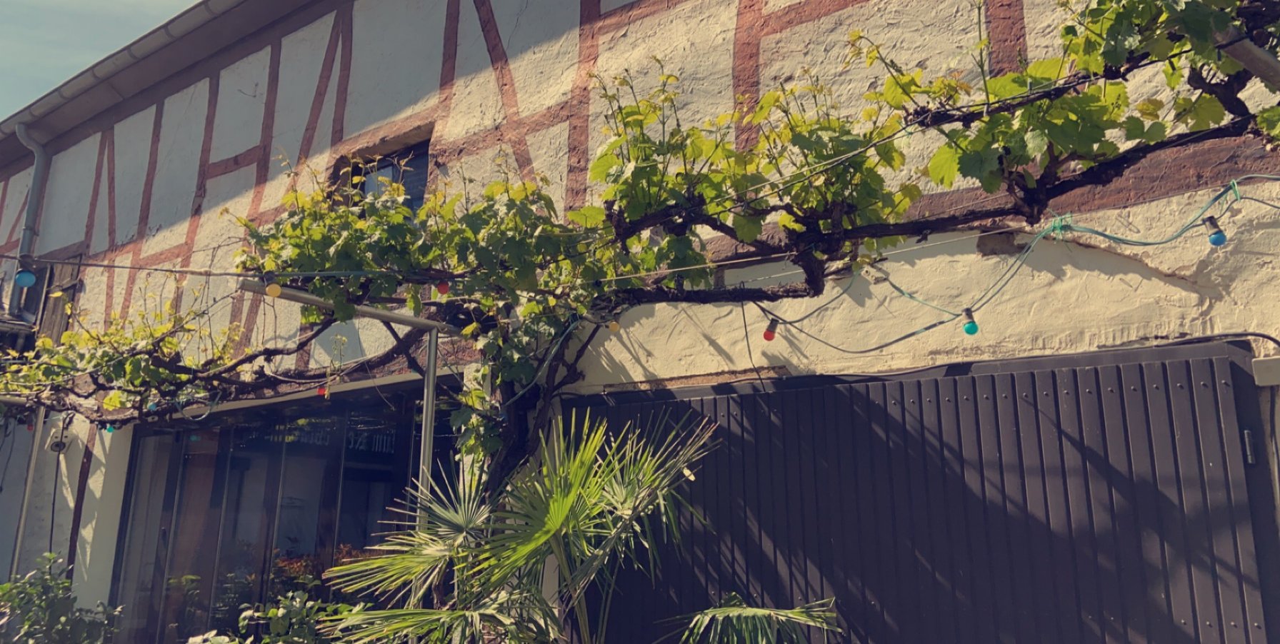 Inn Zum Kellerstuebchen-官方