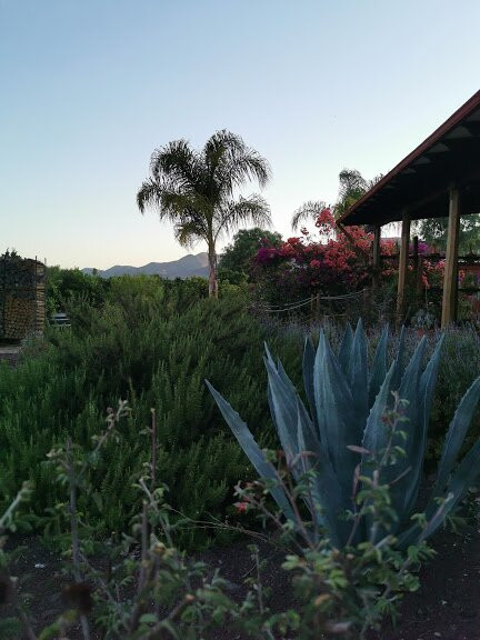 Terra del Valle B&B主图