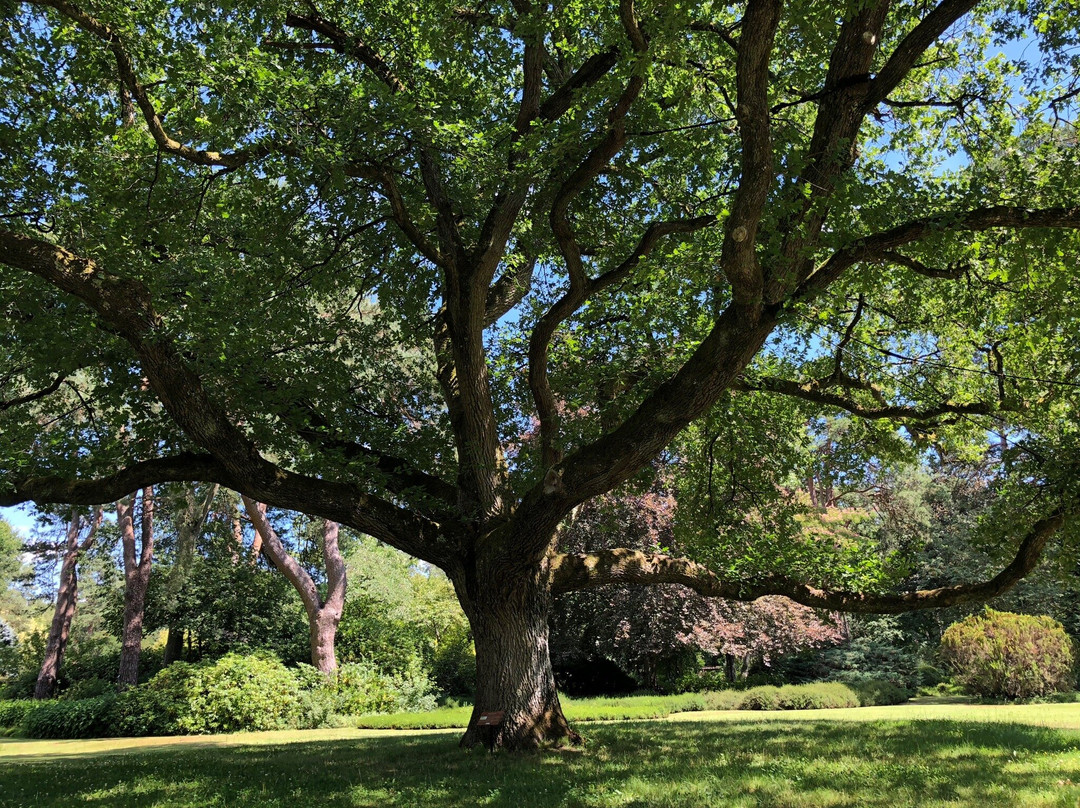 Arboretum des Grandes Bruyeres-Ingrannes必去景点