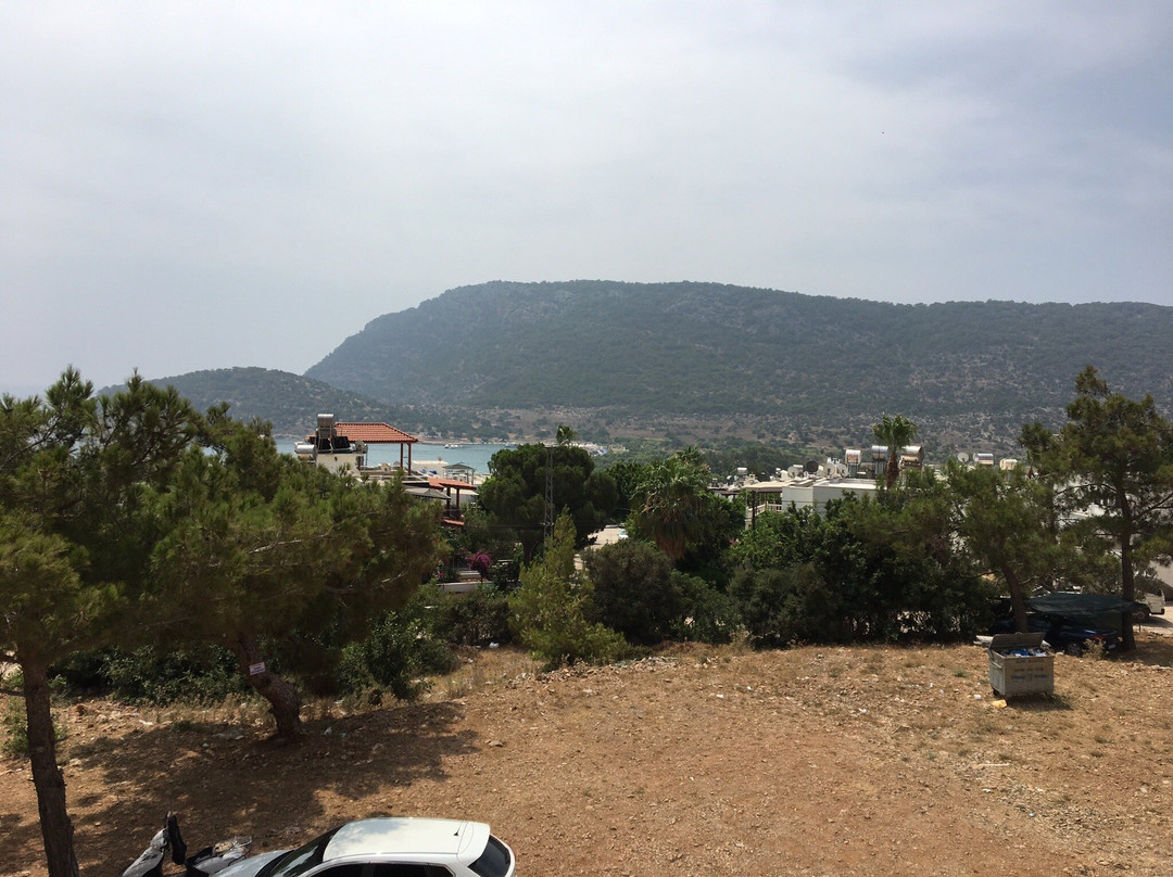 Tisan Oztaş Apart主图