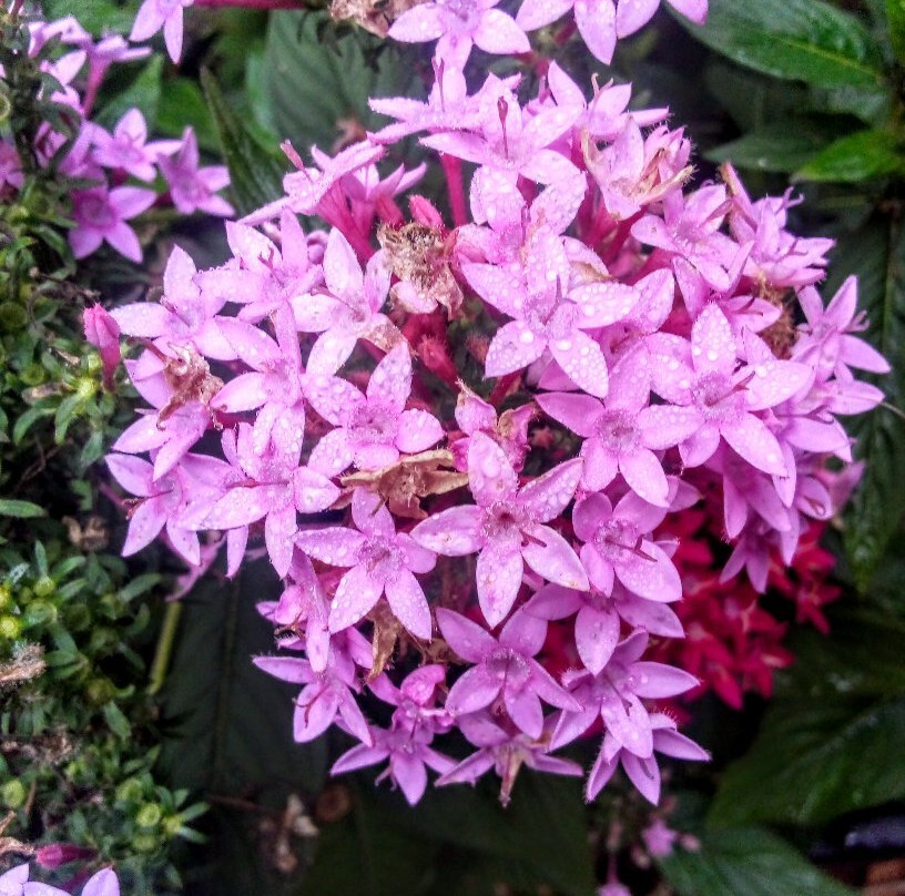 The Peanut Place-Tolga必去景点