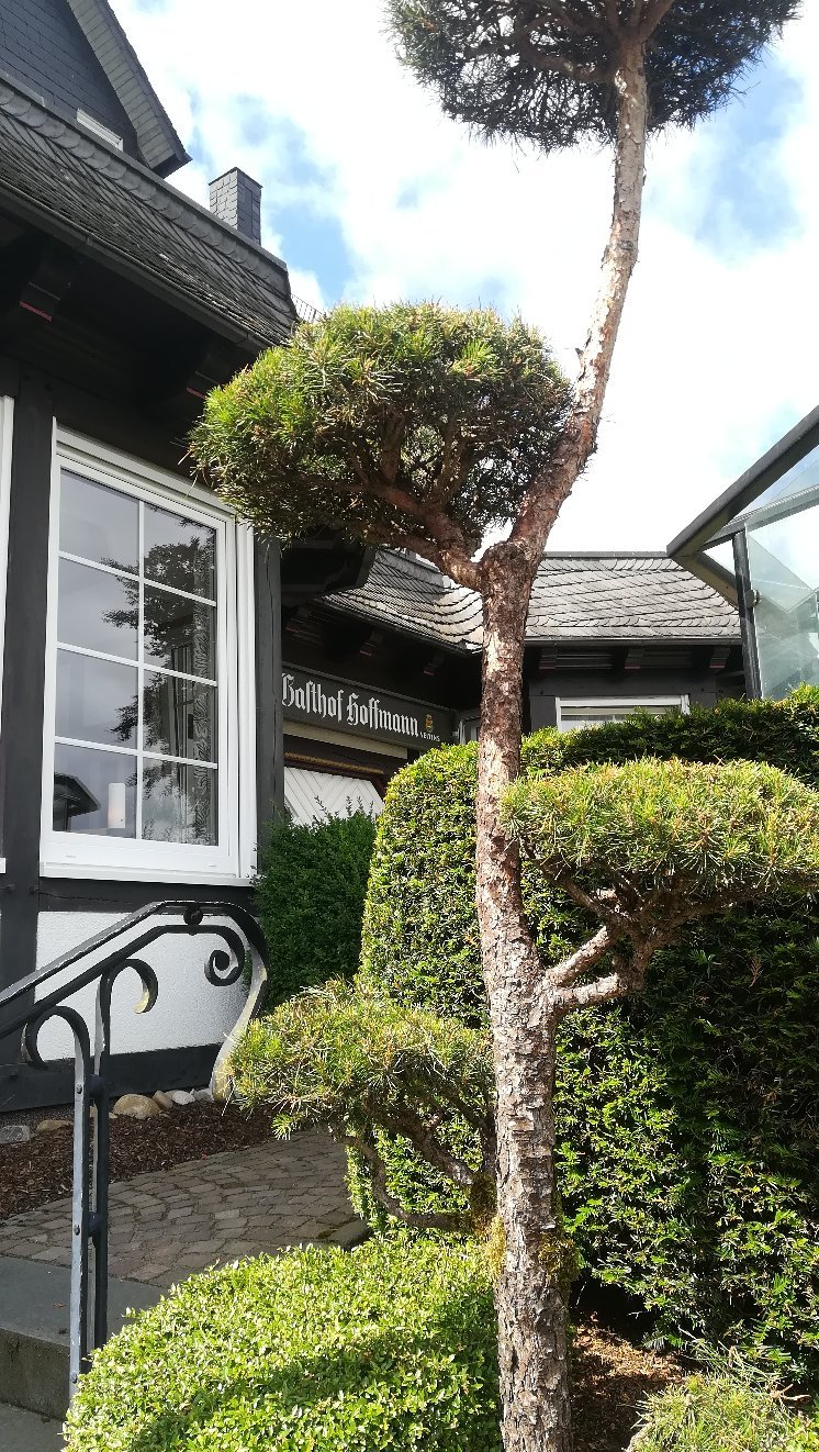 Landgasthof Hoffmann-官方