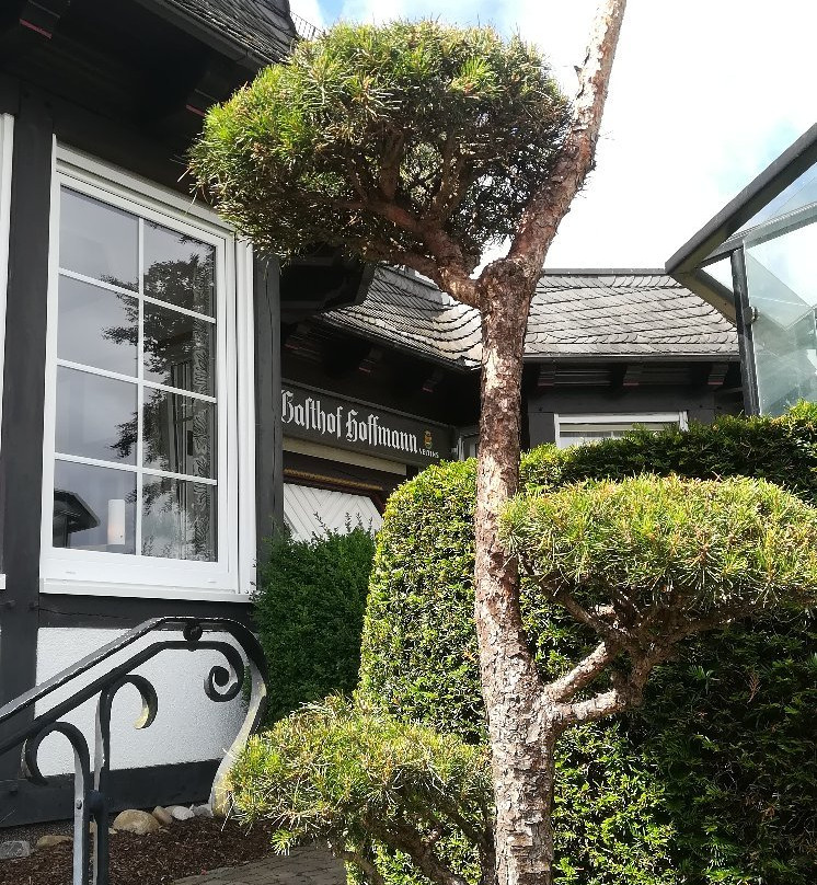 Landgasthof Hoffmann主图
