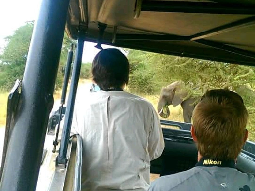 Tarangire National Park景点图片