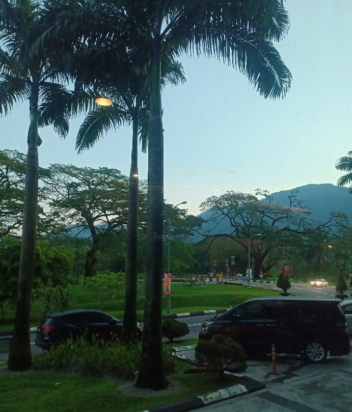 弗莱明顿酒店主图