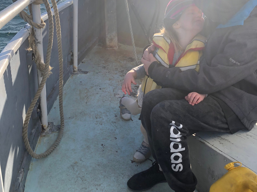 Fishing Waiheke - Day Tours-怀系奇岛必去景点