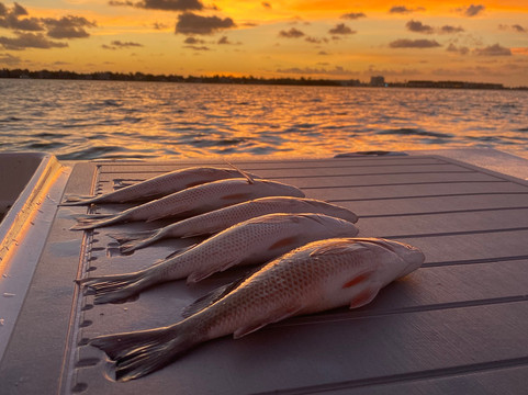 St. Pete Beach Charters-圣彼得海滩必去景点