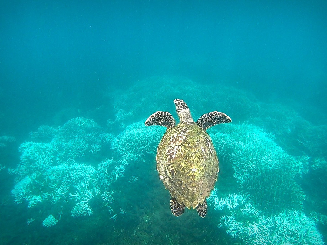 Trinco Water Sport Tours-Trincomalee必去景点