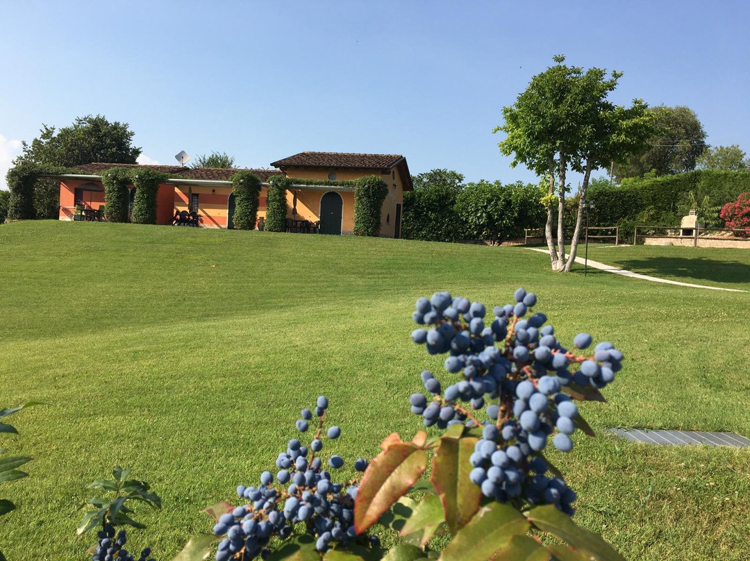 B&B Borgo Tre Case主图