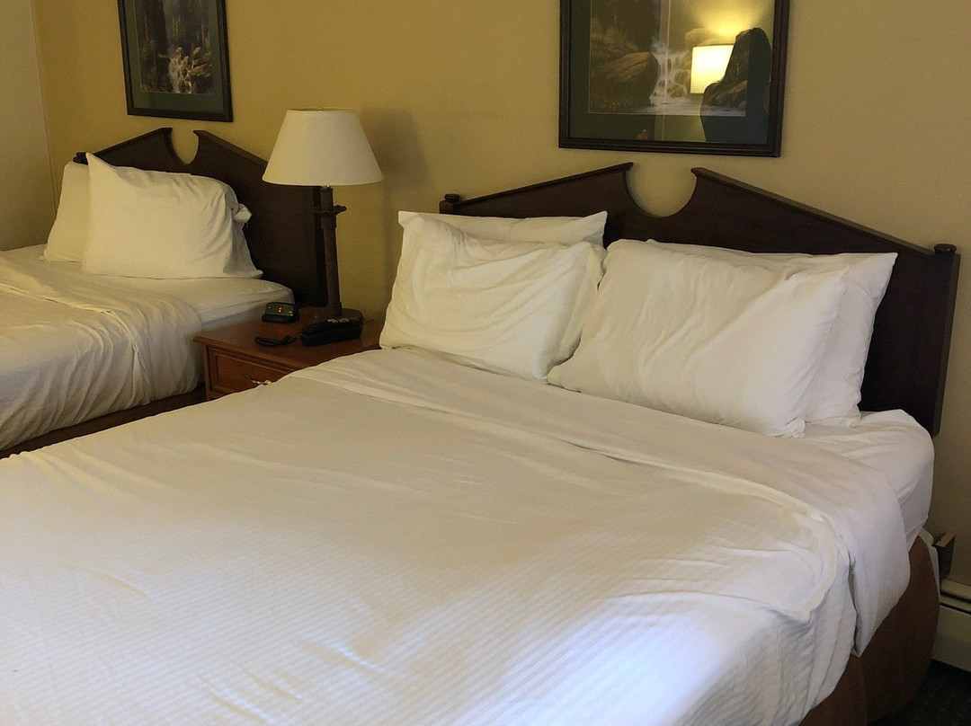 Snowshoe Motel主图