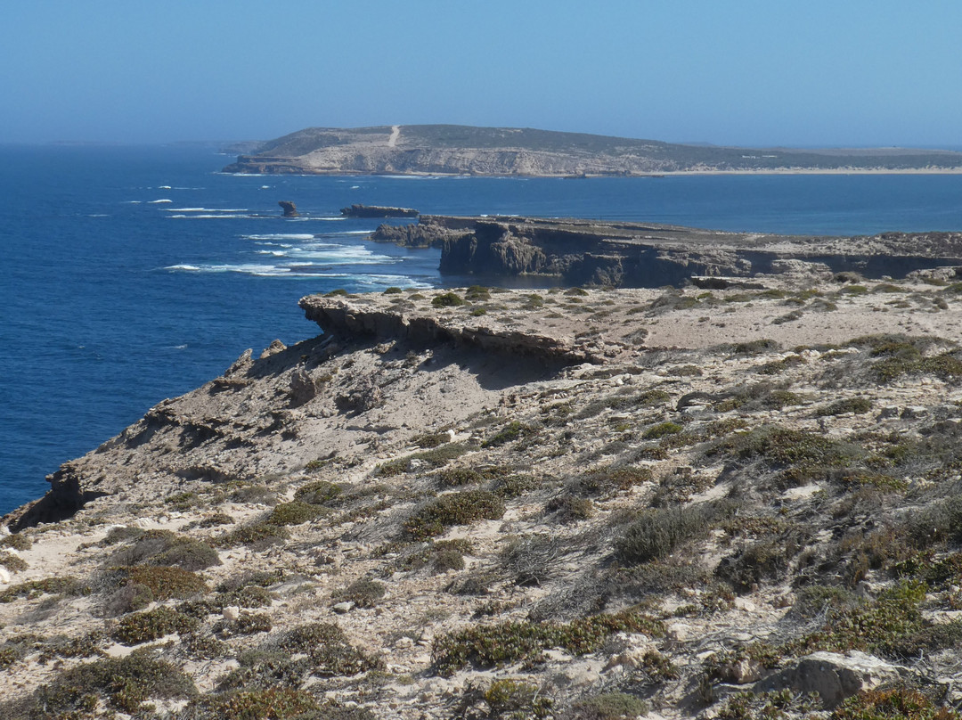 Clifftop Drive Sculpture-Elliston必去景点