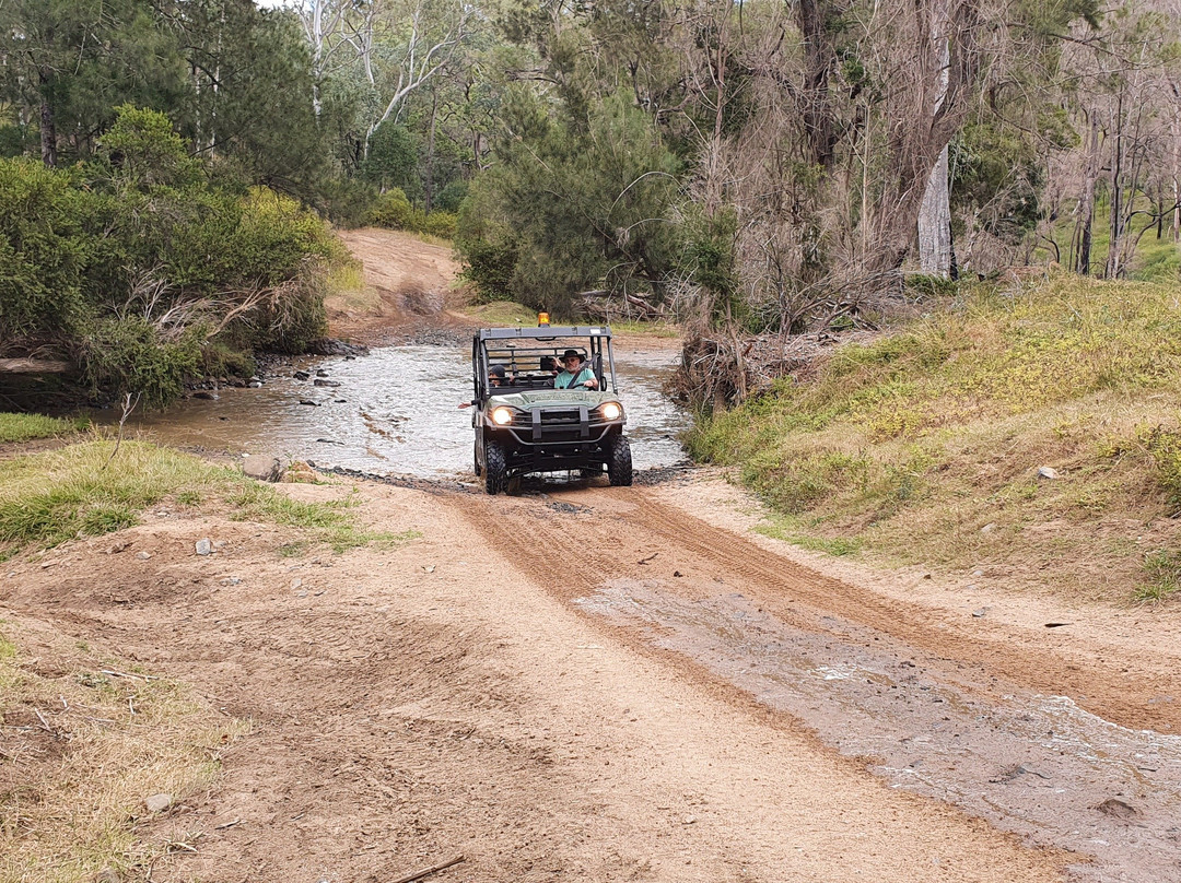 Oz Buggy Tours-Kingaham必去景点