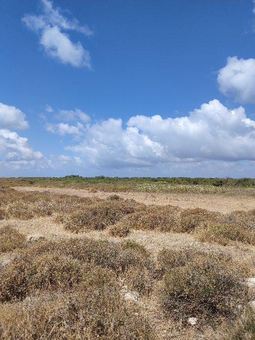 Taninim Nature Reserve-Bet Hananya必去景点
