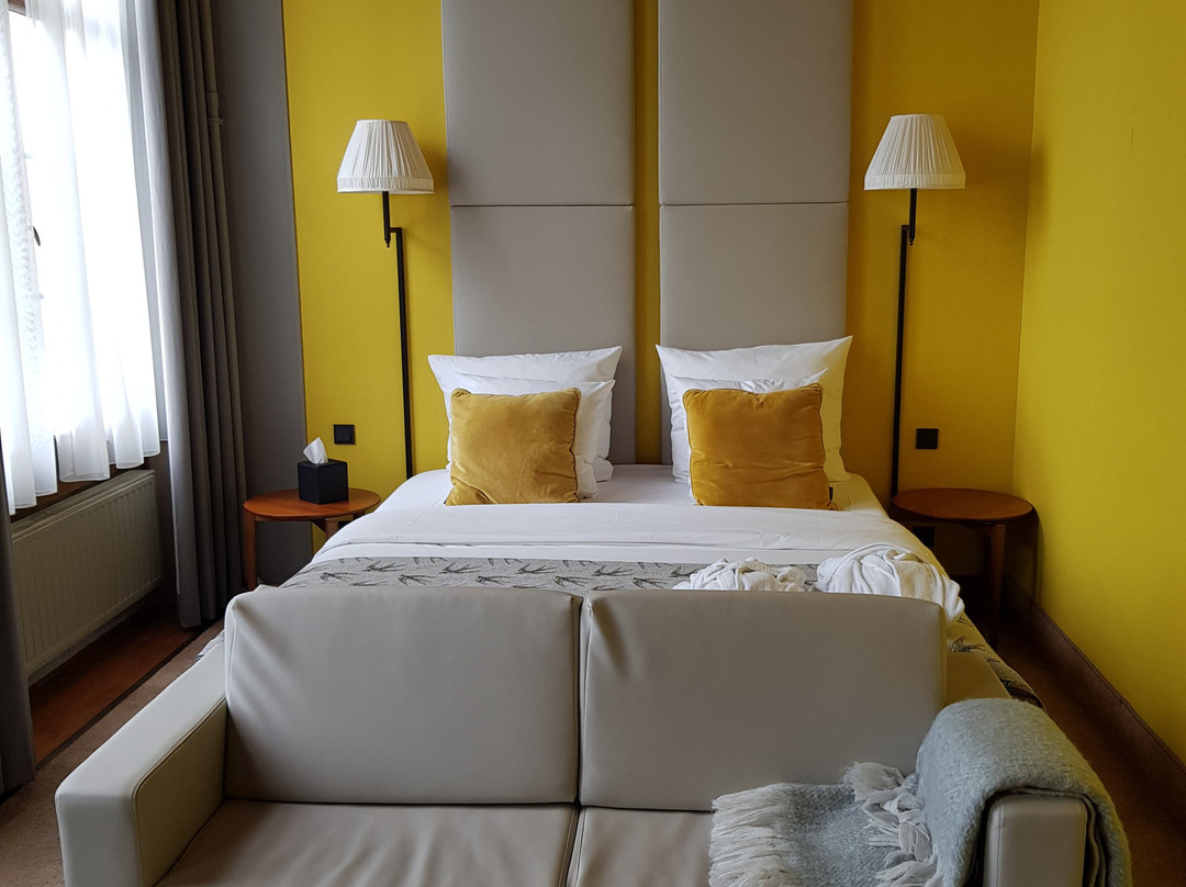 Boutiquehotel The Roosevelt主图
