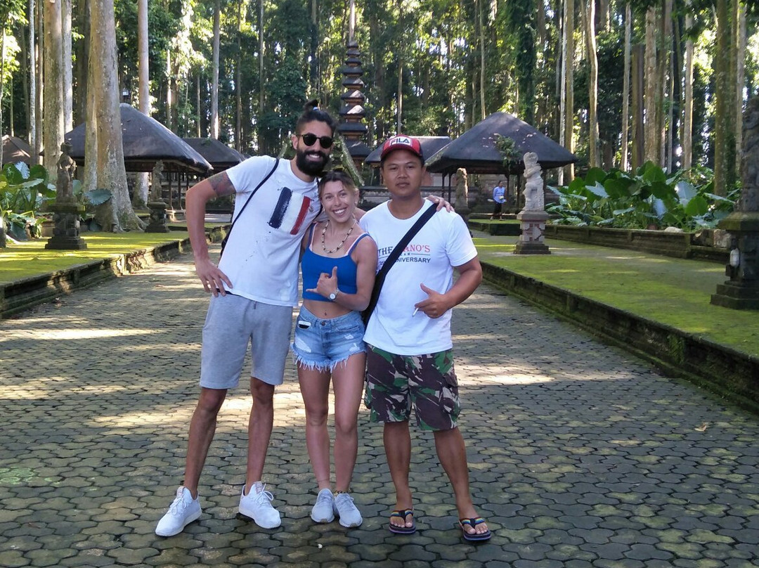 Alam Bali Tour景点图片