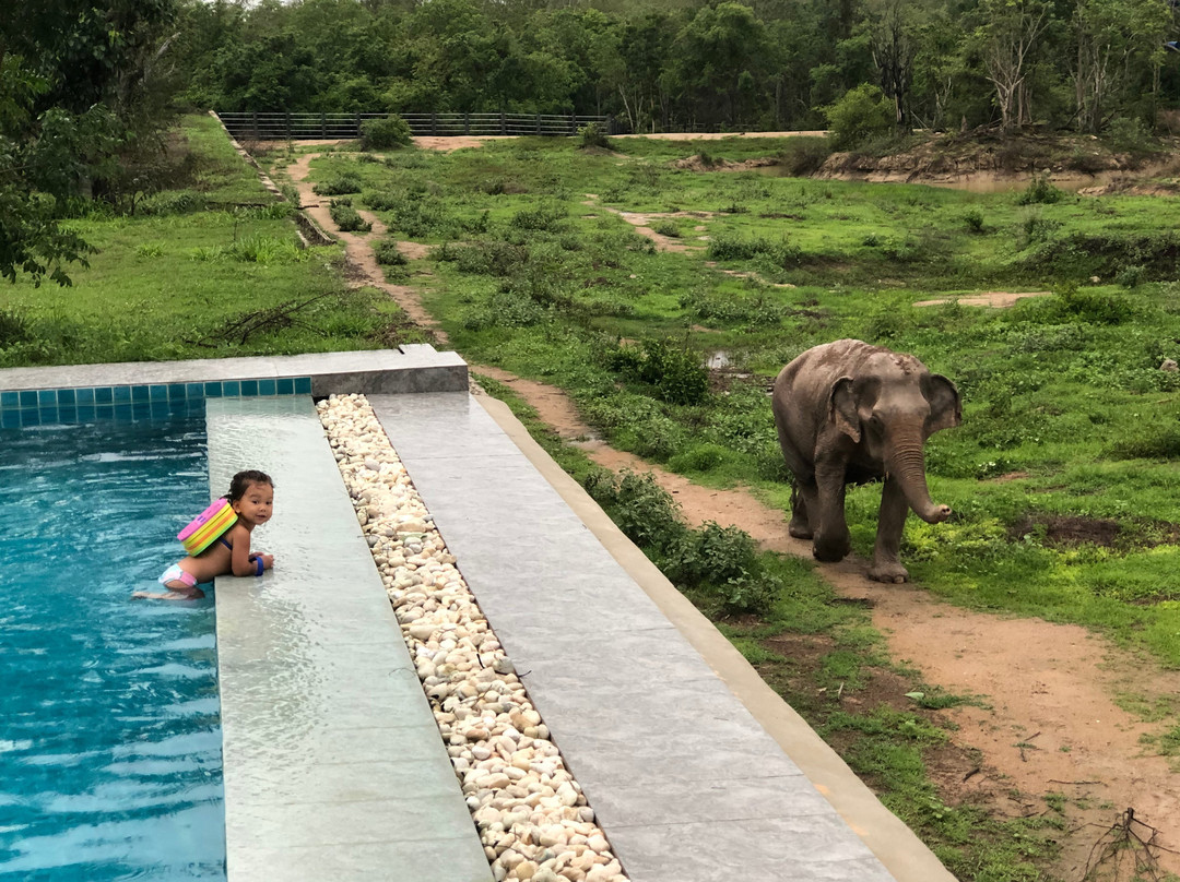 I love phants Lodge主图